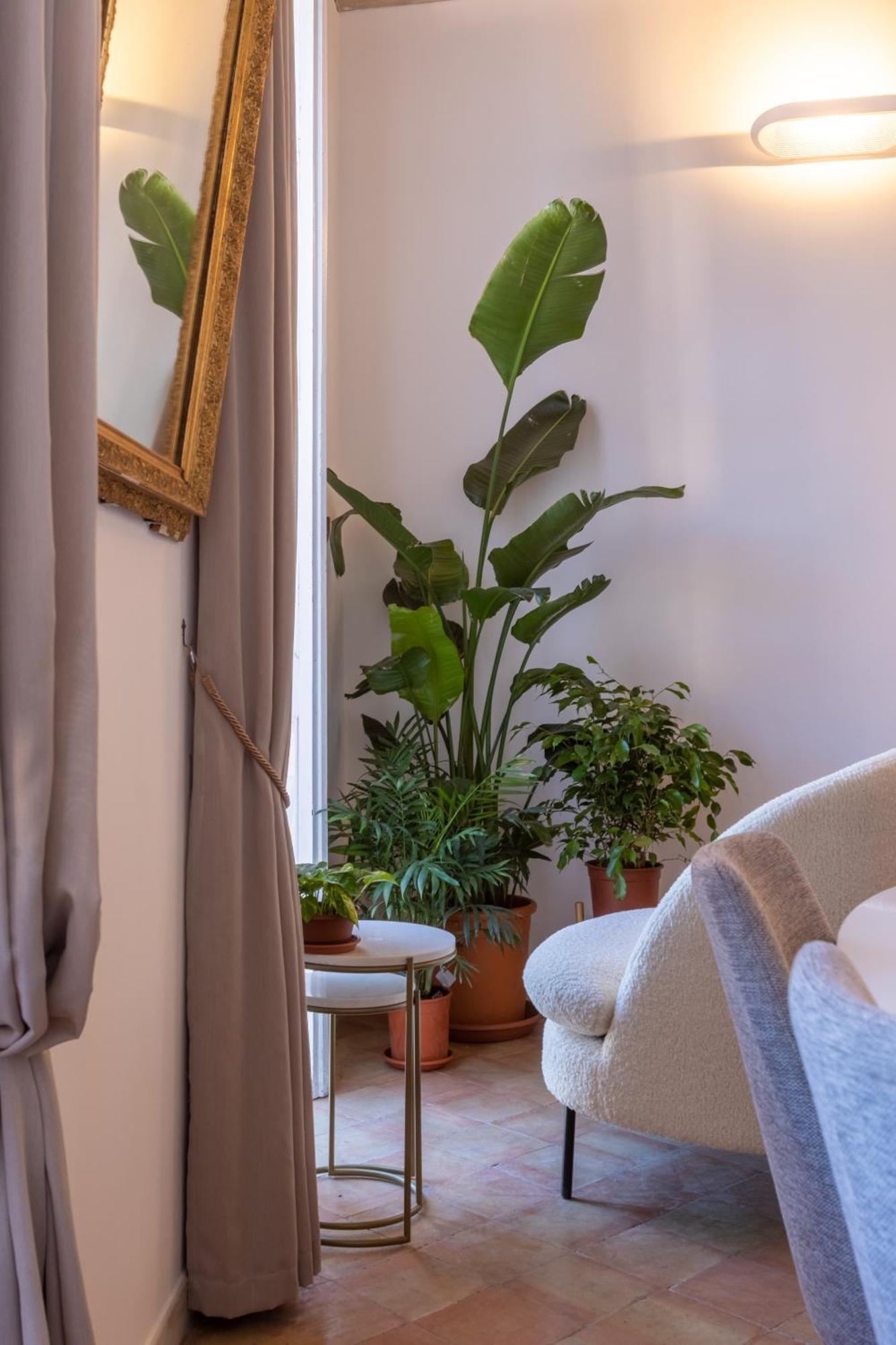 Apartment Navona